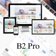 WordPress B2 Pro 主题5.2.0最新开心版,附带官方包体与