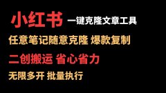 小红书一键克隆笔记工具，任意笔记随意克隆爆