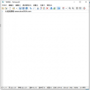 Notepad2 v4.24.01中文绿色版